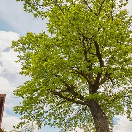 Motel Pod Debem U Jakuba *