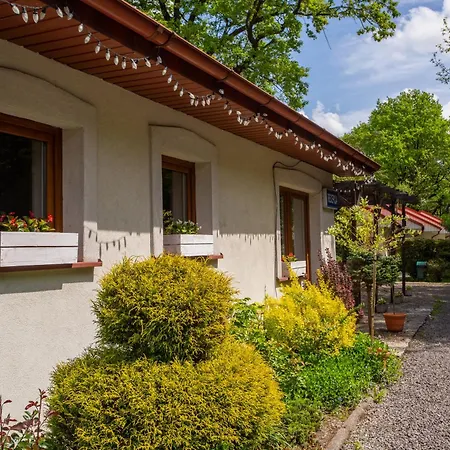 Pod Debem U Jakuba *