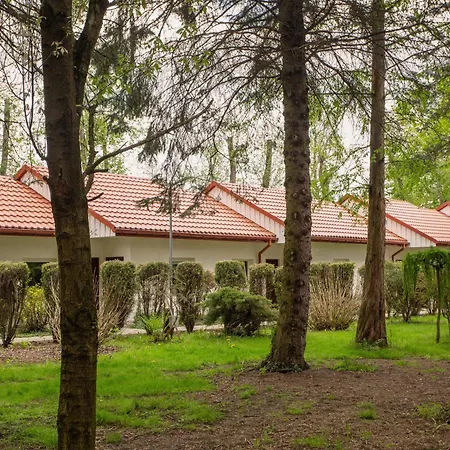 Pod Debem U Jakuba * نيبووميتسا