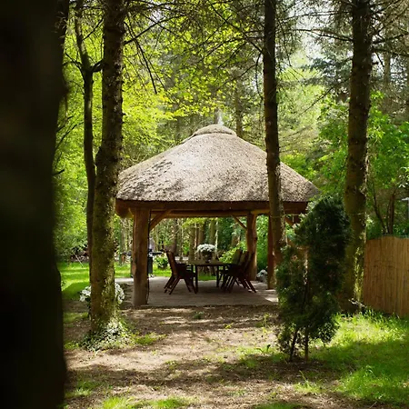 Pod Debem U Jakuba موتيل *