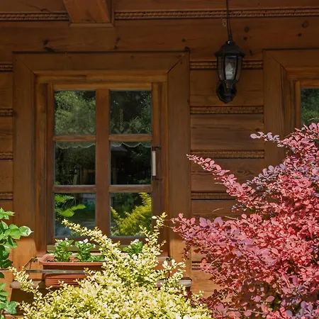 موتيل Pod Debem U Jakuba نيبووميتسا