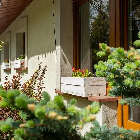 Pod Debem U Jakuba Motel