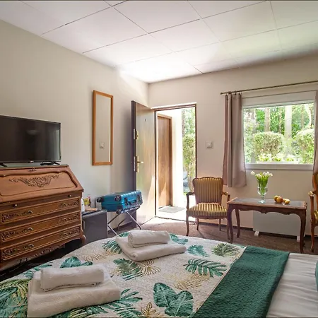 Pod Debem U Jakuba موتيل *