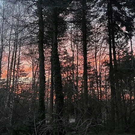 Pod Dębem U Jakuba Niepołomice