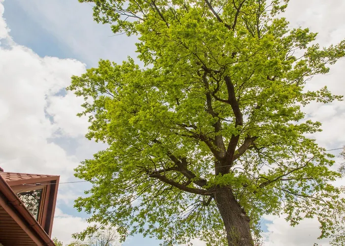 Motel Pod Dębem U Jakuba *